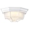 Nuvo LED Spider Cage Fixture, White Finish with Frosted Glass 62/1399 - alternate 7